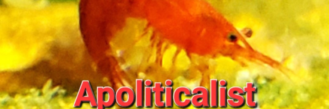 PoserShrimpPSA's profile banner image