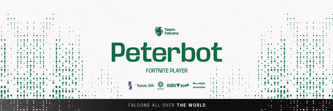 Petricbot banner