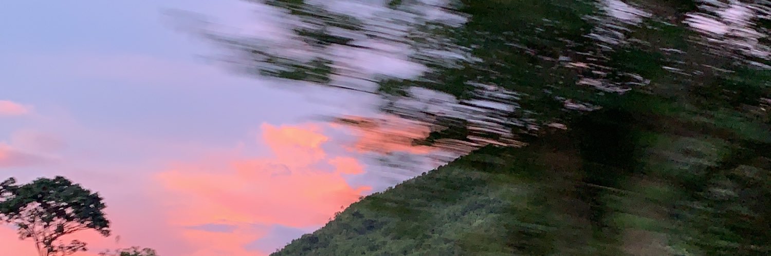 lsleonn's profile banner image