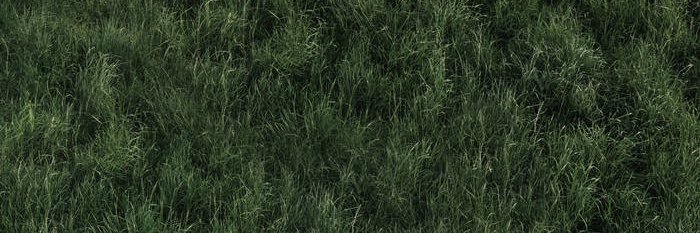 bebolonskii's profile banner image