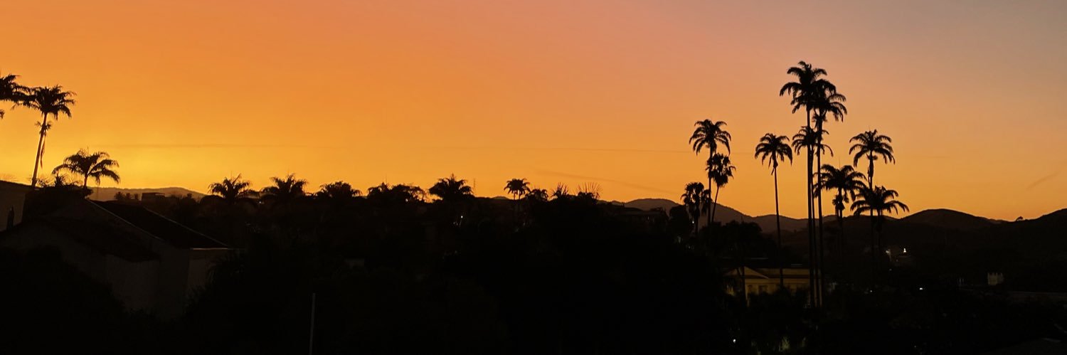 luisa_peclat's profile banner image