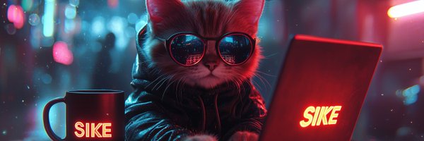 S1K3_SIKE Profile Banner