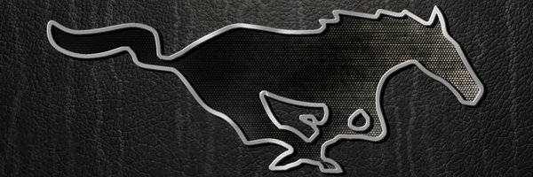 FHISDMustangs Profile Banner