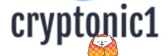 cryptonicone.soul banner