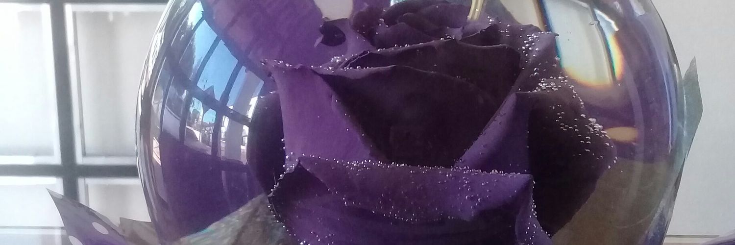 Ireneyaaaaa's profile banner image