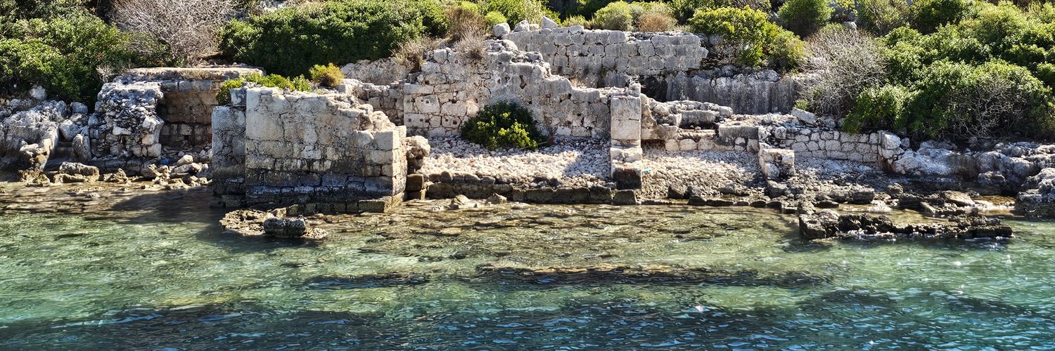 лазурнокудрявый banner