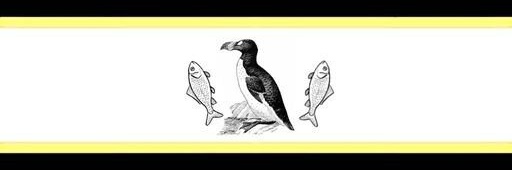 🇻🇪Pingu🇻🇪(COMMISSIONS OPENS)'s banner
