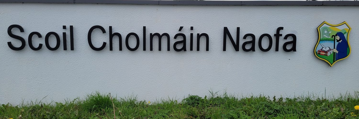 Mucklaghschool banner