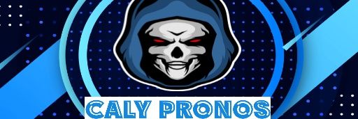 gaborieaudimi's profile banner image