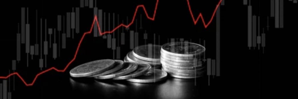Crypto Capitalist banner