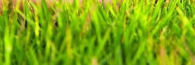 saeedAlkhteeb's profile banner image