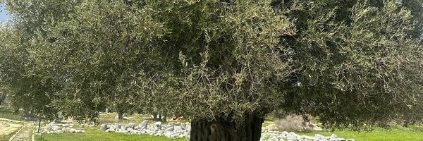 doctormutlu Profile Banner