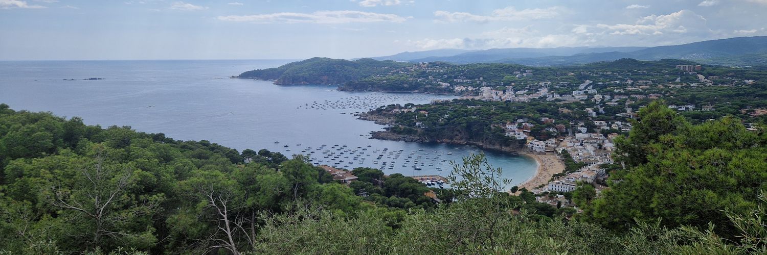 Roger Sánchez banner