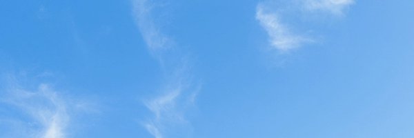 _marumotti Profile Banner