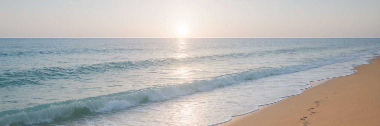 torab219's profile banner image
