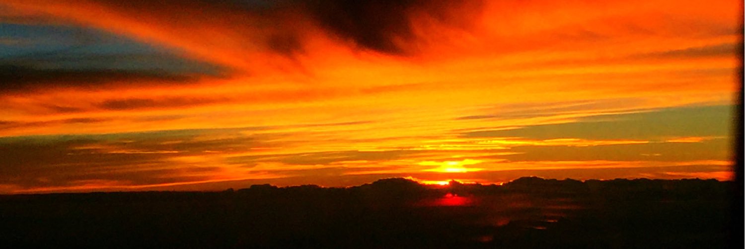 danyra13's profile banner image