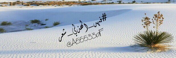A55533aF's profile banner image