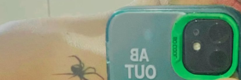 martinwer20's profile banner image