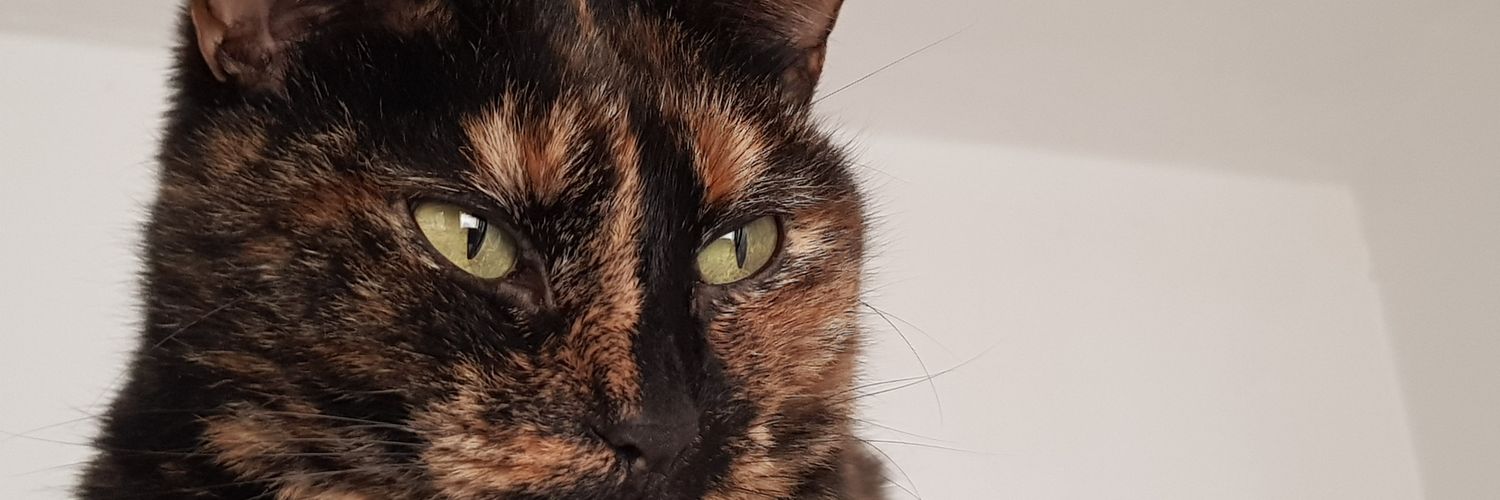 LeonaArg20's profile banner image