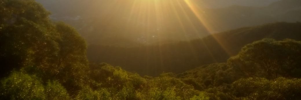 lucasolss's profile banner image