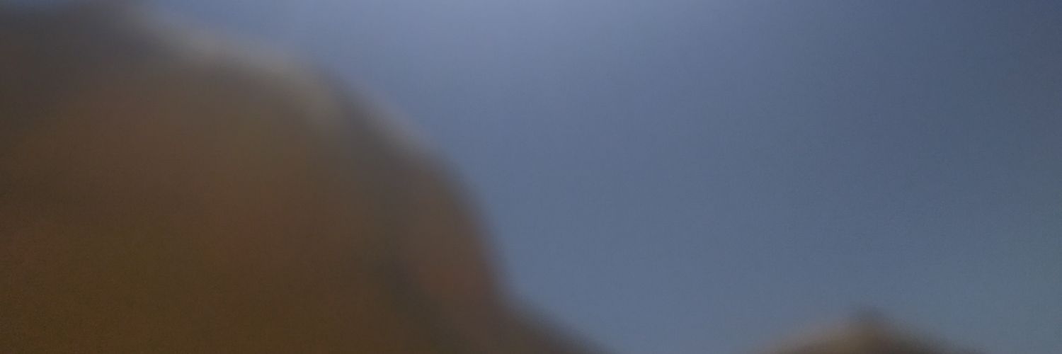 Moisés Pimentel Ribeiro banner