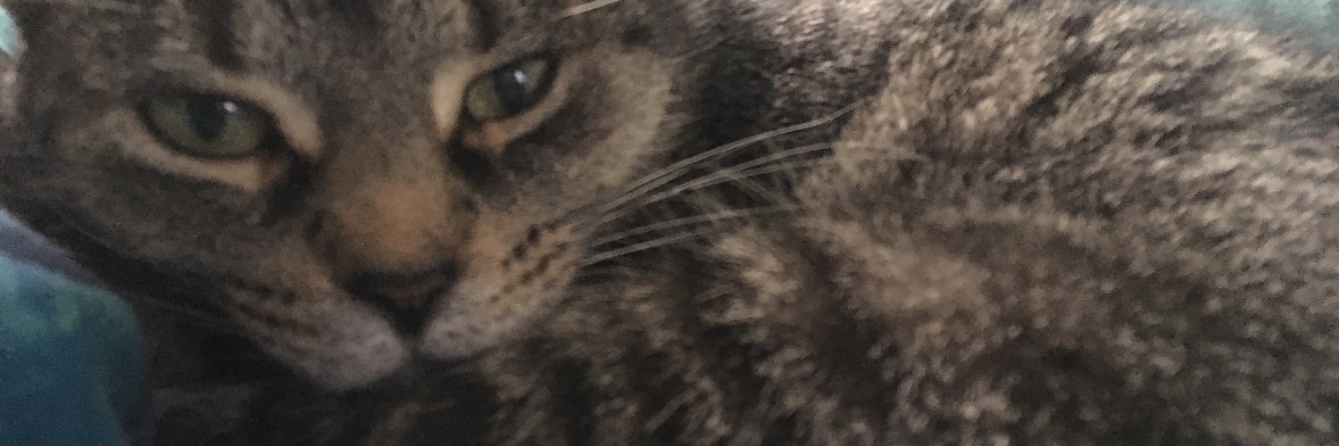 Shelley Young 🌍✌️ 🇨🇦 banner