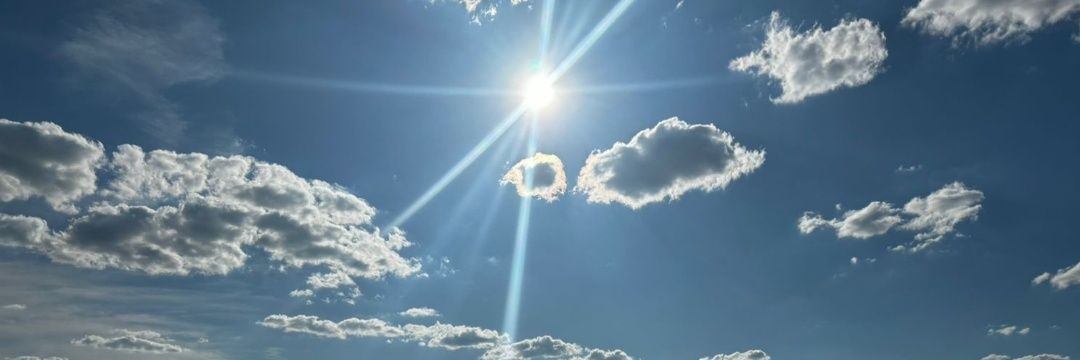 didauzon's profile banner image