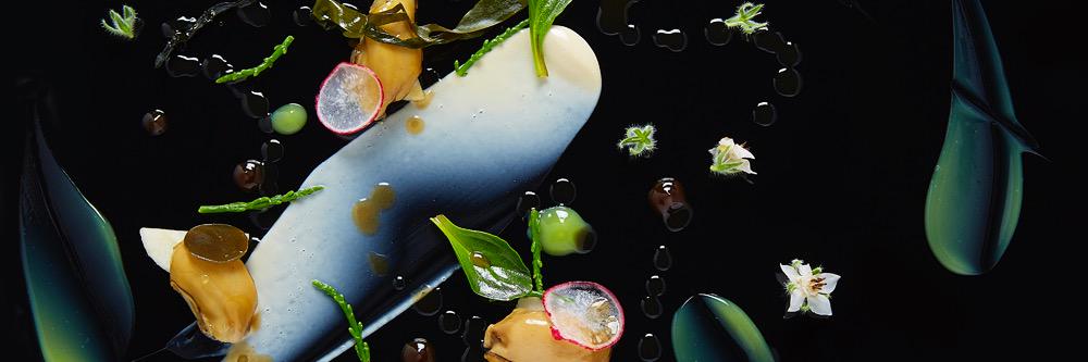 Amuse banner