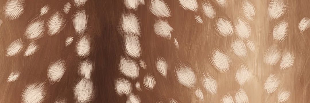 shrfrnc's profile banner image