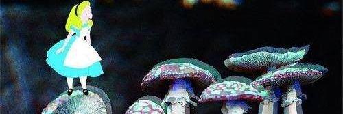 Alexa Torres. banner