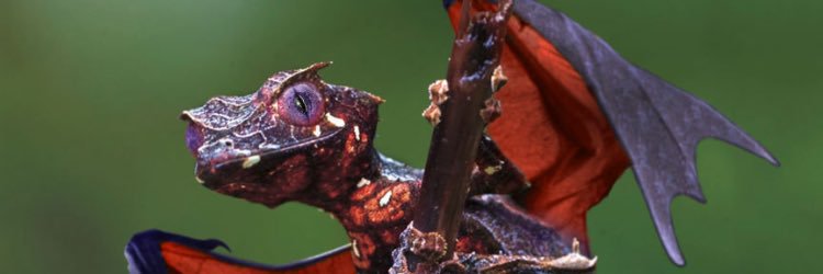 pr1me289's profile banner image