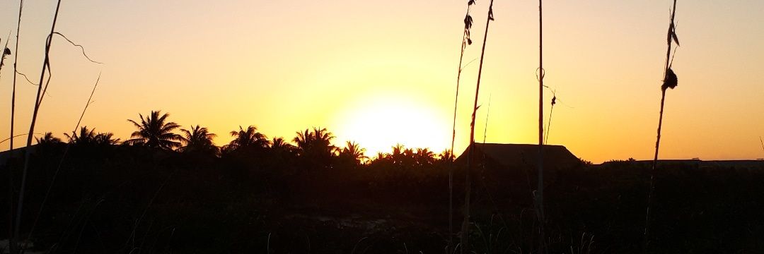 OriTemperini's profile banner image