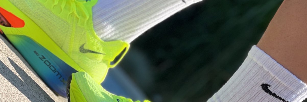 zeussanne's profile banner image