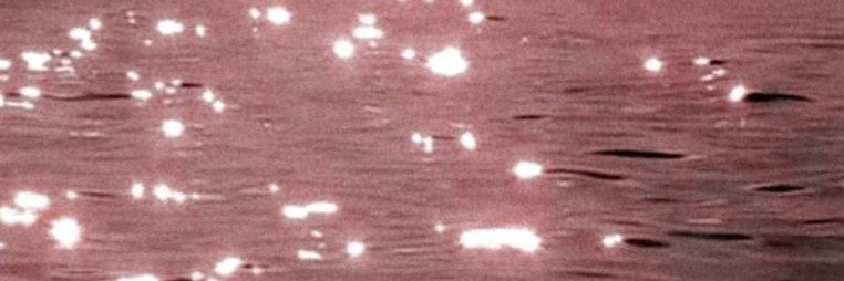 CamiFerrando_'s profile banner image