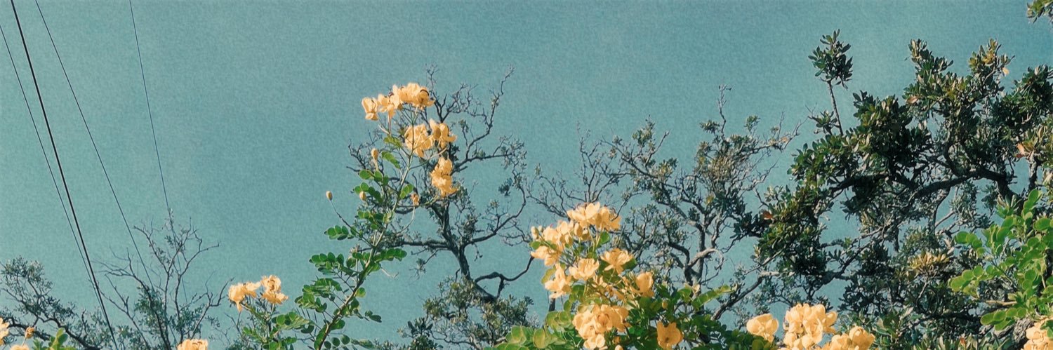 ChloeDehon's profile banner image