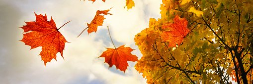 Ryton-on-Dunsmore, Provost Williams CofE Academy banner