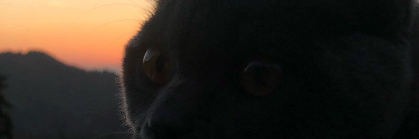 SigmaWithWifi's profile banner image