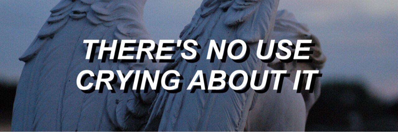 varietymendes's profile banner image