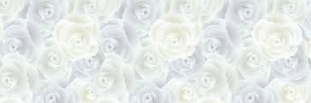 𝚜𝚊𝚔𝚒 banner