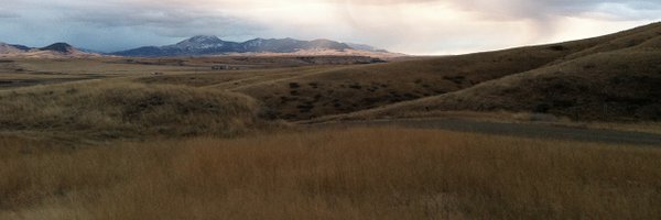 mrettig Profile Banner