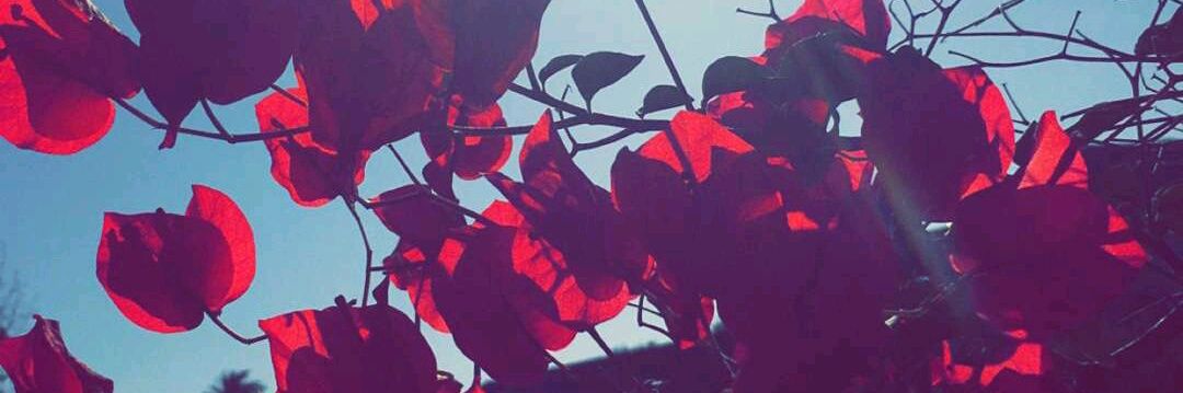 Ihtz_Nae's profile banner image