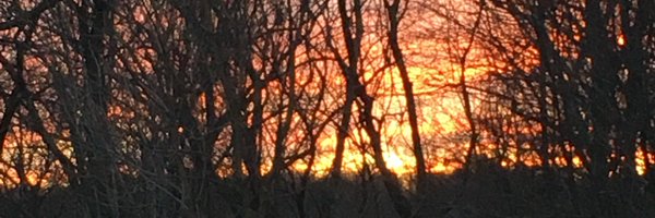 bobgallop Profile Banner