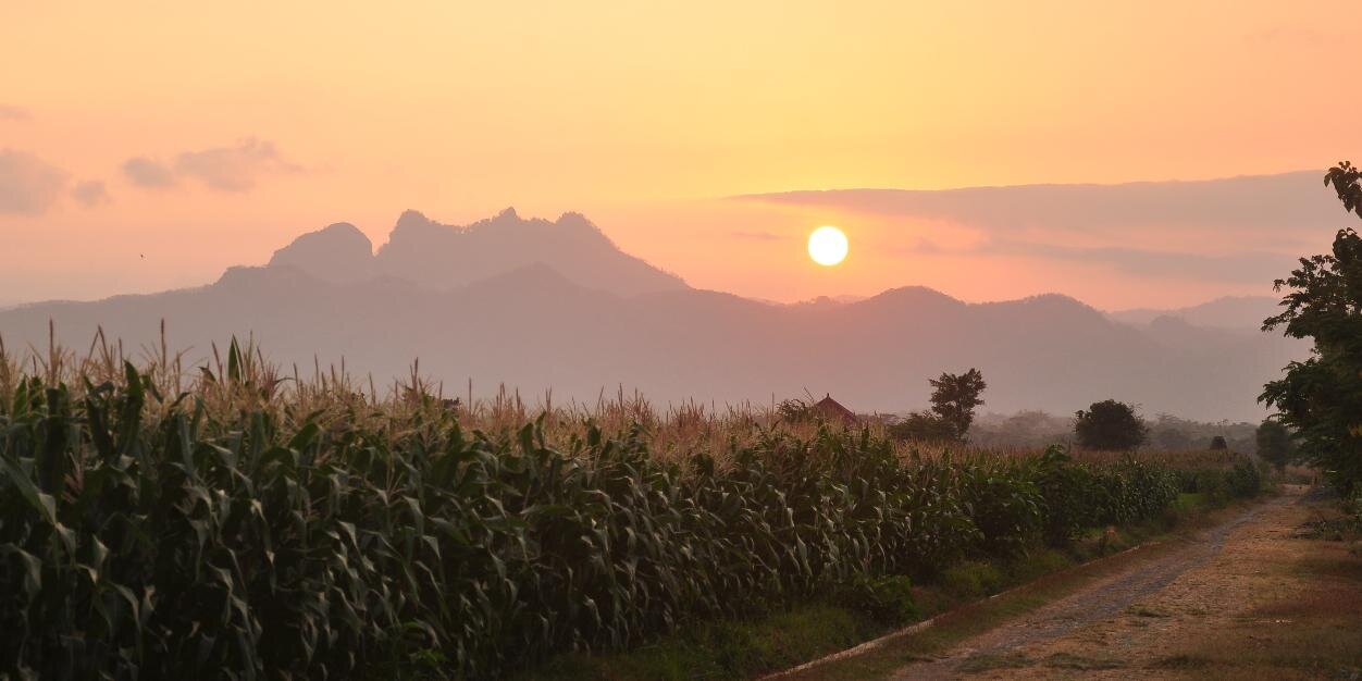 denmasragiel's profile banner image