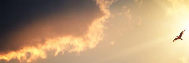 C_A_L_28's profile banner image