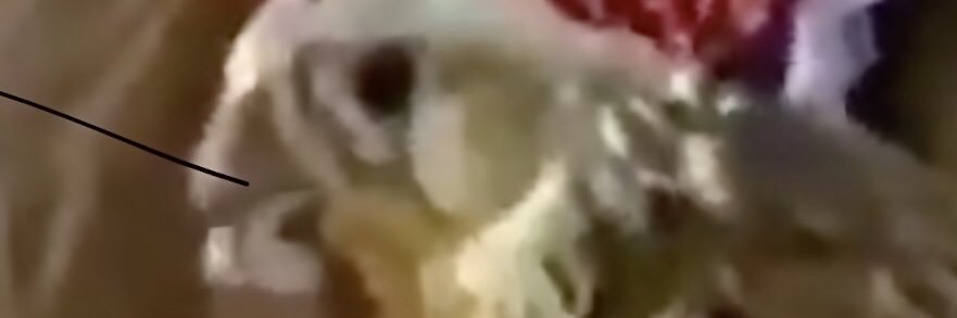 fffdddd14's profile banner image