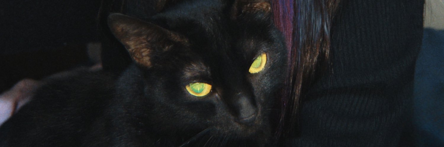 pitroscki's profile banner image