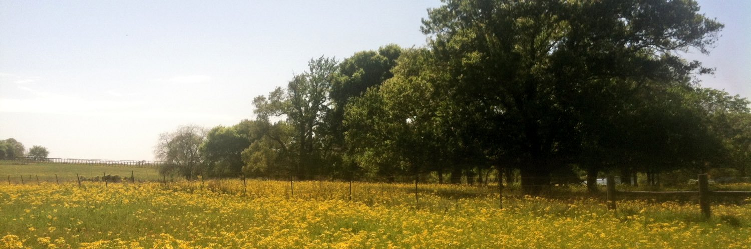 mayfield2220's profile banner image