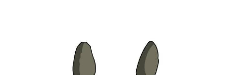 yuu banner