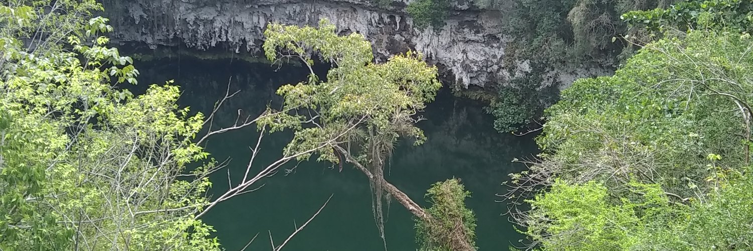 MedioTodos's profile banner image