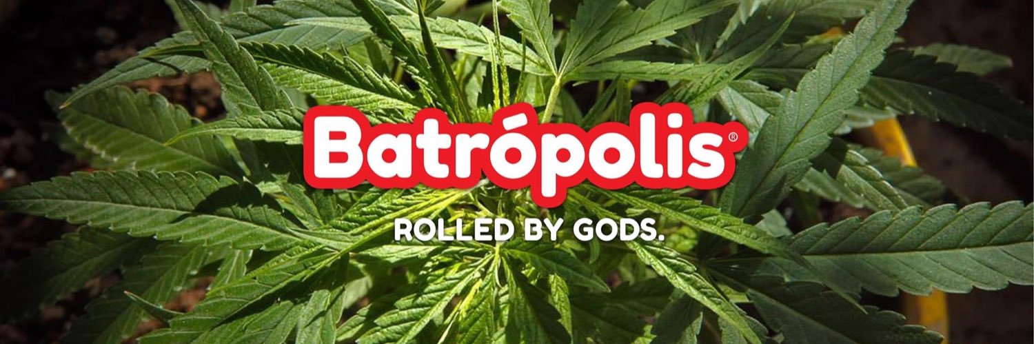 Batropolis's profile banner image